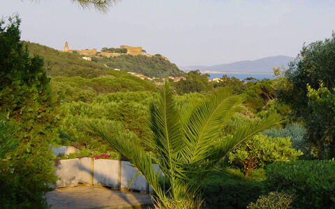 Castiglione della Pescaia 610: Himmel, Plante, Bjerg, Sky, Træ, Naturlige Landskab, Highland, Busk, Græs, Landskab