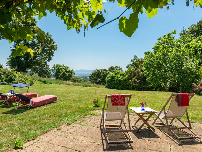 Ginestra