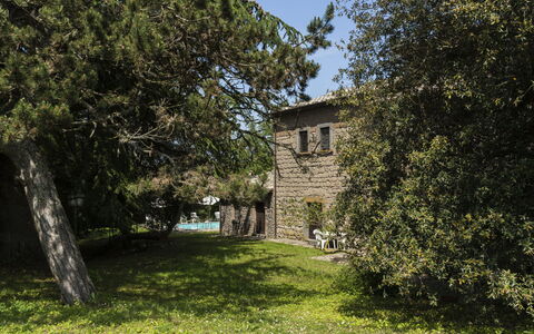 Lago di Bolsena 664: Plante, Bygning, Himmel, Vindue, Træ, Naturlige Landskab, Græs, Sommerhus, Hus, Landskab