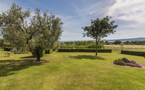 Lago di Bolsena 663: Himmel, Blå, Græs, Træ, Grøn, Naturlige Landskab, Landskab, Almindeligt, Busk, Græs-