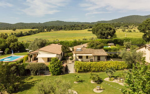 Lago di Bolsena 663: Græs-, Land Lot, Landdistrikt, Estate, Lawn, Stuehus, Have, Eng, Pasture, Plantation