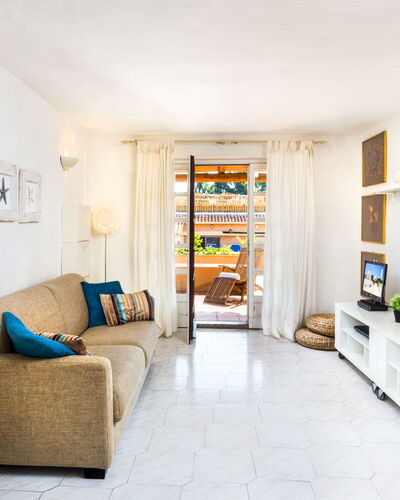 Bougainvillae Trilo Plus 616.4