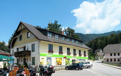 Stein an der Enns 607: Himmel, Hjul, Bygning, Sky, Vindue, Køretøj, Plante, Træ, Hus