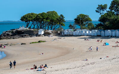 Ile de Noirmoutier 611