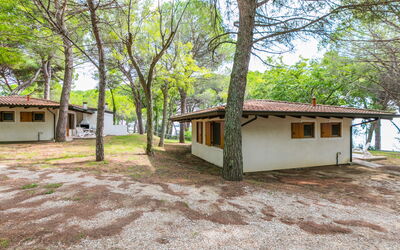 Feriebolig:&nbsp;Belvedere Pineta Camping Village 653.2