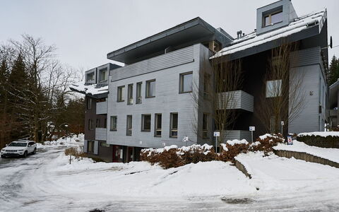Harrachov: Bygning, Boligområde, Arkitektur, Hjem, Fryser, Vinter, Sne, Lejlighed, Hældning, Estate