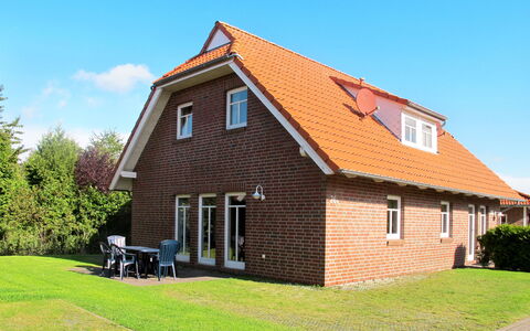 Katamaran Ii: Himmel, Bygning, Vindue, Plante, Sky, Hus, Land Lot, Sommerhus, Træ, Græs