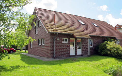 Katamaran i: Bygning, Sky, Plante, Himmel, Ejendom, Vindue, Hus, Træ, Træ, Naturlige Landskab