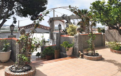 El Pino