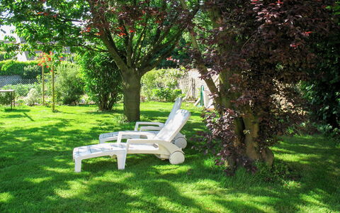 Gîte de L'Epine: Plante, Møbel, Plantesamfund, Udendørs Bench, Træ, Udendørs Møbler, Naturlige Landskab, Skygge, Vedplante, Bænk