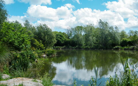 Gîte Triskell: Naturlige Landskab, Krop Af Vand, Natur, Vandressourcer, Vand, Naturreservat, Dam, Vegetationen, Naturligt Miljø, Bank