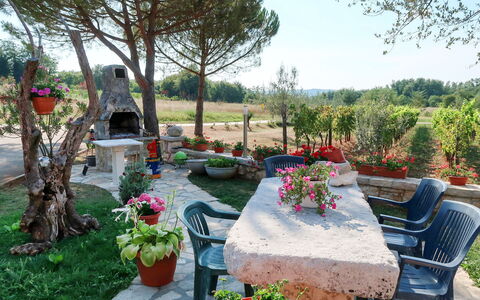 Labin 797: Have, Gård, Ejendom, Backyard, Landscaping, Botanik, Træ, Landskab, Plante, Blomst