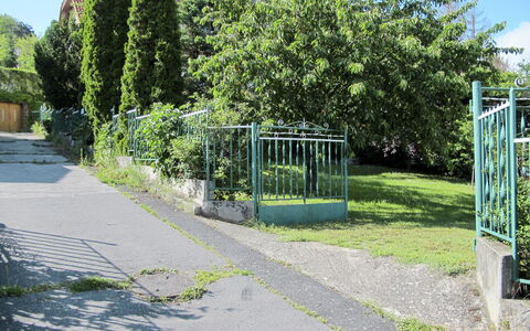 Csonka: Plante, Himmel, Skygge, Vejbelægning, Vegetationen, Land Lot, Træ, Asfalt, Urban Design, Græs