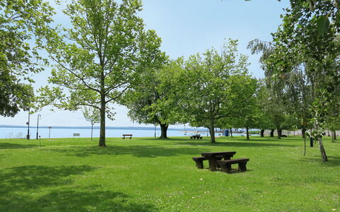 Csonka: Vand, Himmel, Sky, Vandressourcer, Azure, Træ, Naturlige Landskab, Strand, Coastal Og Oceaniske Landskabsformer, Plante