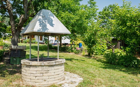 Szijartó: Træ, Gazebo, Have, Skygge, Bunddække, Forår, Pavilion, Udendørs Struktur, Lawn