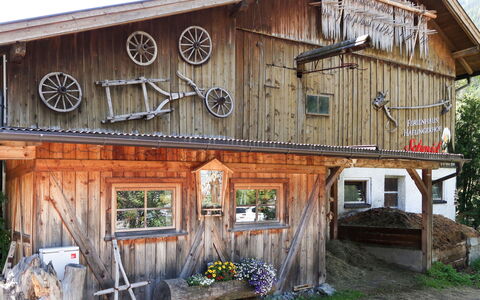 Feichten im Kaunertal 651: Plante, Ejendom, Vindue, Bygning, Himmel, Træ, Dør, Hus, Sommerhus, Sidespor