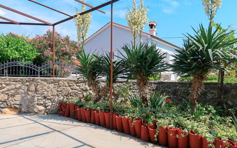 Mateja: Blomst, Himmel, Plante, Ejendom, Plantesamfund, Botanik, Sky, Arkitektur, Vegetationen, Biome