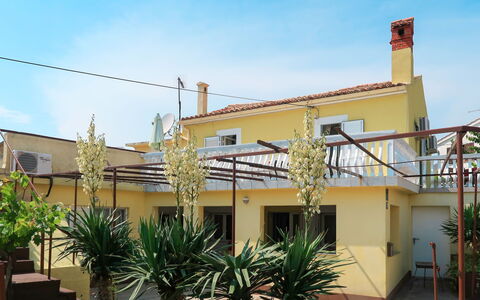 Mateja: Plante, Himmel, Bygning, Ejendom, Sky, Vindue, Vegetationen, Arecales, Skygge, Urban Design