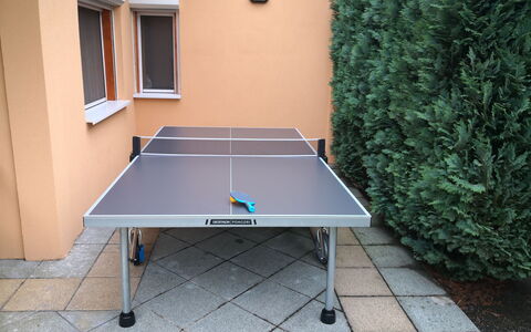 Hajnal: Bordtennis, Ejendom, Ketsjer Sport, Bord, Værelse, Møbel, Individuelle Sportsgrene, Etage, Bordtennisbat, Bold Spil