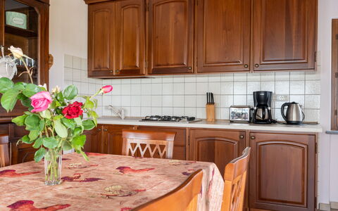 Antica Cascina: Blomst, Cabinetry, Countertop, Ejendom, Møbel, Bygning, Plante, Køkken, Køkkenvask, Køkken Apparat