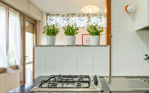Gelsomino (Cco115): Plante, Ejendom, Vindue, Gaskomfur, Stueplante, Cooktop, Blomsterkrukke, Bygning, Komfur, Køkken Apparat