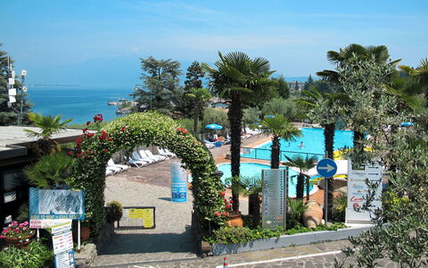 San Felice del Benaco 604: Plante, Himmel, Azure, Bygning, Blomst, Biome, Arecales, Træ, Fritid, Landskab