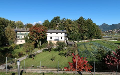 Angeli: Plante, Bygning, Himmel, Naturlige Landskab, Træ, Vindue, Hus, Land Lot, Vegetationen, Græs