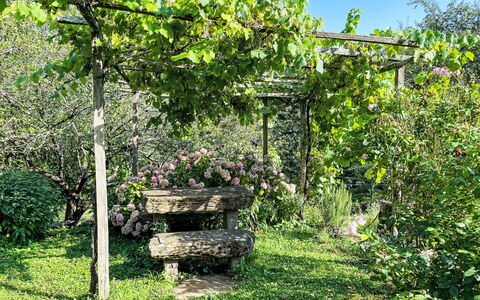 Casa Lienartova: Grøn, Blad, Have, Plantesamfund, Skygge, Forår, Bunddække, Gård, Botanisk Have