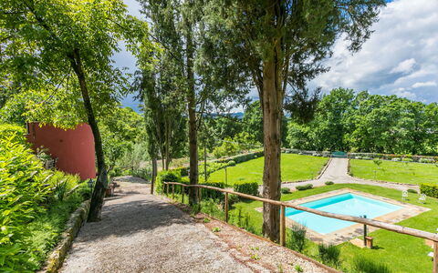 L'Orlo del Bosco: Plante, Vand, Himmel, Skygge, Naturlige Landskab, Sky, Træ, Land Lot, Svømmepøl, Græs