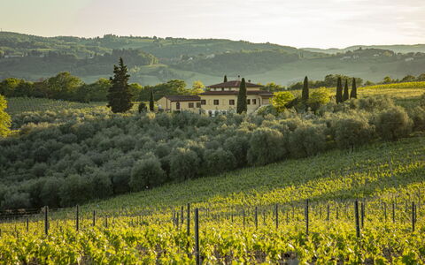 Podere San Michele: Plante, Skygge, Udendørs Møbler, Træ, Arkitektur, Ejendom, Fritid, Komfort, Liggestol, Toner Og Skygger