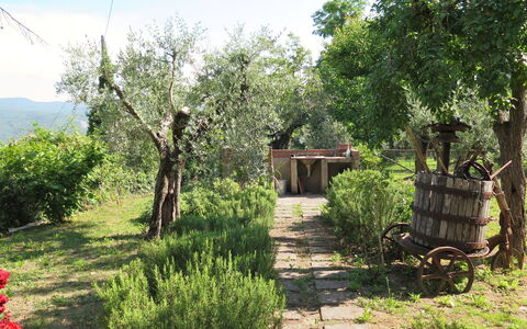 Erbe: Plante, Himmel, Plantesamfund, Sky, Naturligt Miljø, Træ, Naturlige Landskab, Blomst, Land Lot, Vegetationen