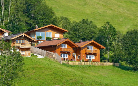 Flachau 617: Plante, Bygning, Ejendom, Vindue, Økoregion, Træ, Hus, Naturlige Landskab, Træ, Land Lot