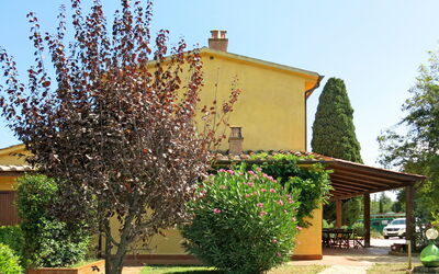 Casciana Terme 651