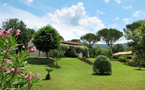 Roccastrada 622: Sky, Himmel, Blomst, Plante, Ejendom, Plantesamfund, Træ, Naturlige Landskab, Botanik, Bygning