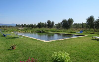 Roccastrada 623: Plante, Naturlige Landskab, Have, Land Lot, Busk, Gård, Svømmepøl, Parkere, Lawn, Landscaping