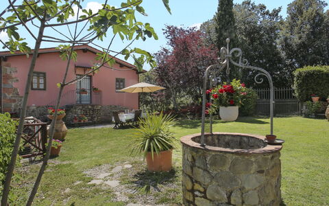 Montevarchi 613: Plante, Ejendom, Blomsterkrukke, Himmel, Blomst, Træ, Land Lot, Biome, Bygning, Sommerhus