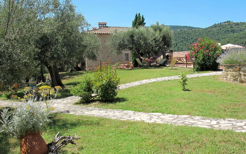 La Collina Fiorita: Plante, Have, Busk, Land Lot, Lawn, Gård, Backyard, Parkere, Bunddække, Landscaping