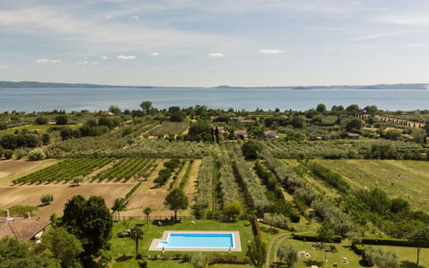 Lago di Bolsena 618: Landskab, Land Lot, Svømmepøl, Estate, Fugleperspektiv, Plantation, Udvej, Landscaping, Luftfotografering, Hacienda