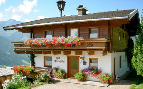 Bramberg am Wildkogel 697: Plante, Blomst, Himmel, Sky, Bygning, Ejendom, Vindue, Dør, Hus, Træ