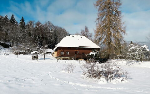 Bistenhof: Sne, Vinter, Himmel, Træ, Hjem, Fryser, Hus, Ejendom, Sky, Sommerhus