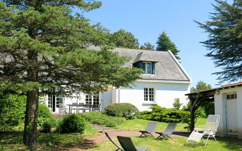 Stergann: Plante, Bygning, Himmel, Vindue, Træ, Hus, Land Lot, Vegetationen, Kvarter, Skygge