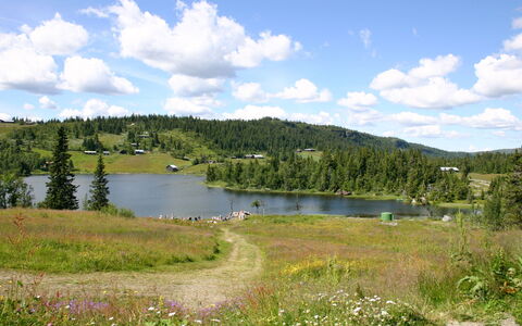 Gjefselykkja: Sky, Vand, Himmel, Plante, Vandressourcer, Plantesamfund, Blomst, Økoregion, Naturlige Landskab, Bjerg