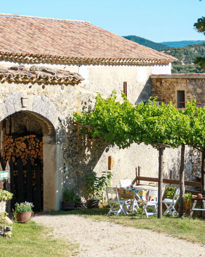 Le Cèdre