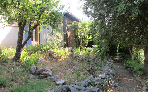 Villa Audrey: Plante, Plantesamfund, Bygning, Træ, Naturlige Landskab, Land Lot, Vegetationen, Bedrock, Hus, Græs