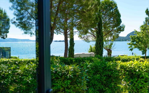 San Felice del Benaco 605: Plante, Vand, Himmel, Blomst, Grøn, Naturlige Landskab, Land Lot, Vegetationen, Træ, Bygning