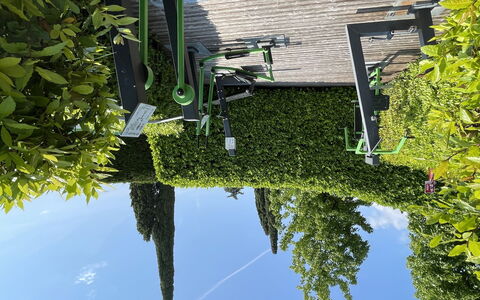San Felice del Benaco 605: Grøn, Vegetationen, Busk, Hæk, Bunddække, Have, Forår, Skygge, Landscaping, Evergreen