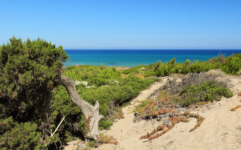 Baia delle Mimose: Vegetationen, Kyst, Strand, Kyst, Hav, Naturlige Landskab, Naturligt Miljø, Plantesamfund, Himmel, Naturreservat
