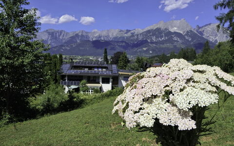 Saalfelden am Steinernen Meer 613: Bjergrige Landskabsformer, Blomst, Bjerg, Bjergkæde, Hill Station, Have, Alps, Kam, Dal, Topmøde