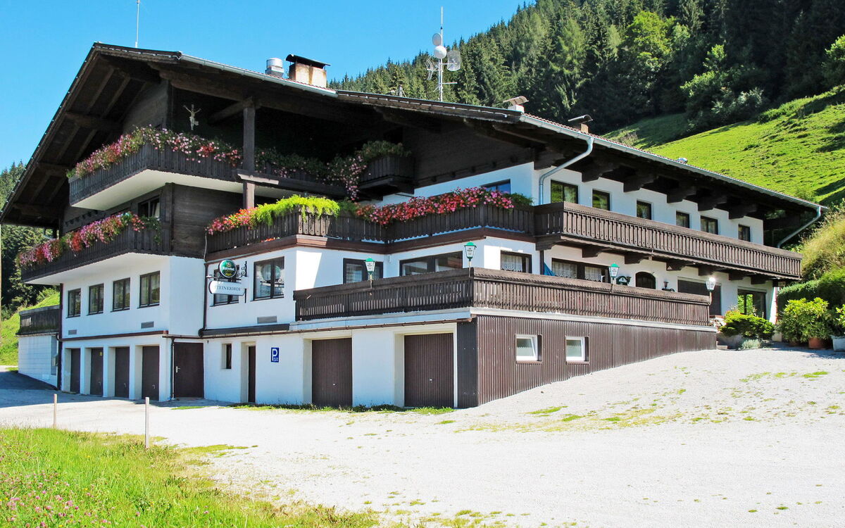 Steinerhof (Fgz340)