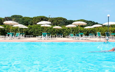 San Vincenzo 651: Svømmepøl, Udvej, Udendørs Møbler, Ferieby, Paraply, Hotel, Liggestol, Tropics